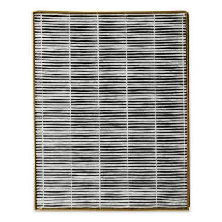 5-in-1 True HEPA Filter für Toshiba CAF-X116XPL-Reiniger