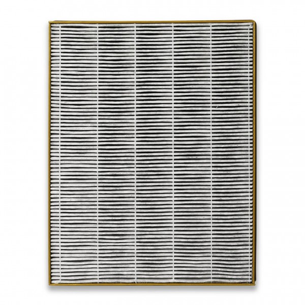 Luftreiniger-Filter Toshiba CAF-H30(W)