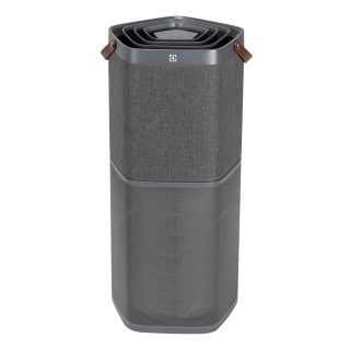 Electrolux Pure A9 PA91-604DG Vorderansicht