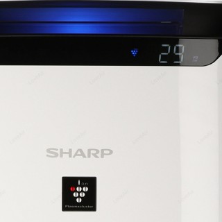 Sharp FP-J80EU-W Anzeige des PM2,5-Partikelwerts