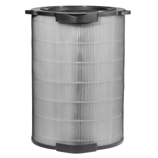 Filter Electrolux EFDCLN6