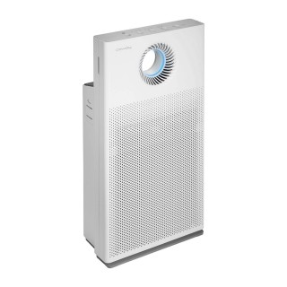 Coway Mini Storm