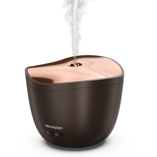 Duftdiffusor Sharp DF-A1E-T - Farbe Braun