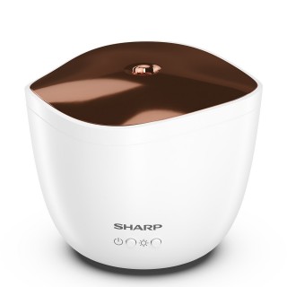 Sharp DF-A1E-W - Frontansicht
