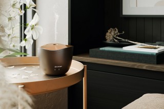 Sharp DF-A1E-T - Diffusor-Arrangement