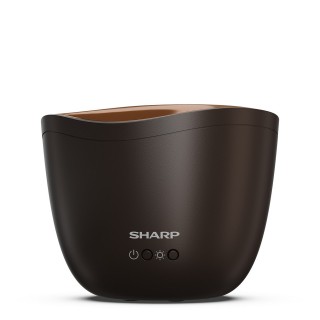 Sharp DF-A1E-T - Vorderansicht