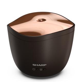 Sharp DF-A1E-T - Vorderansicht