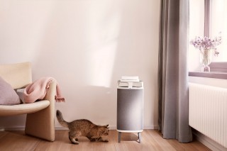 Blueair DustMagnet 5240i - Anordnung des Reinigers