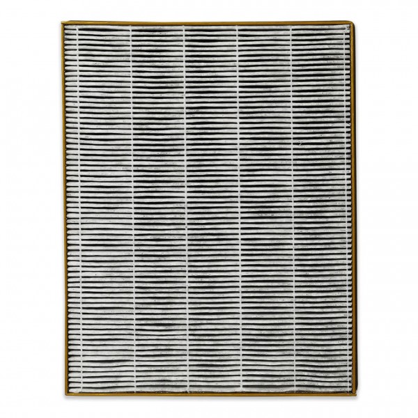 Luftreiniger-Filter Toshiba CAFZ123XPL(W)FS