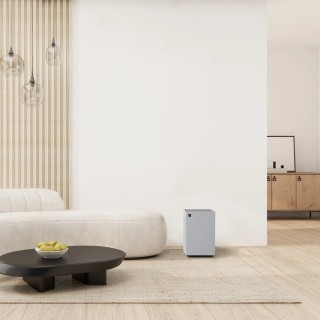 Sharp FP-S42EU-L