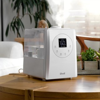 Levoit LV600S