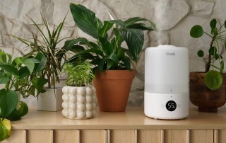 Levoit Dual 200S