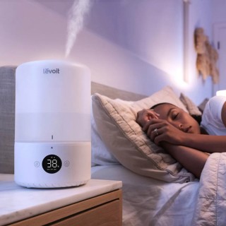 Levoit Dual 200S