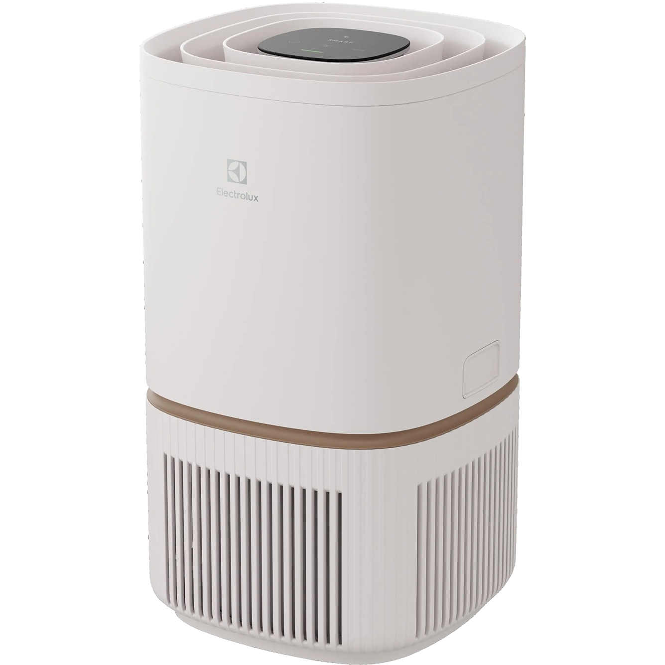 Electrolux Pure 500